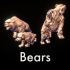 Bear pack image