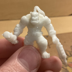 Picture of print of Orc Warboyz Modular Kit