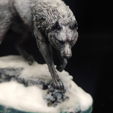 Picture of print of Wolves 6 miniatures set 32mm