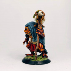 Picture of print of Bullywug Shaman