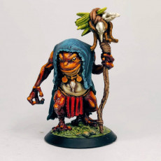 Picture of print of Bullywug Shaman