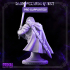 Swordsman/ Mercenary /Man- at- arms - Ducard - Bust- DARK WIZARDS - MASTERS OF DUNGEONS QUES image