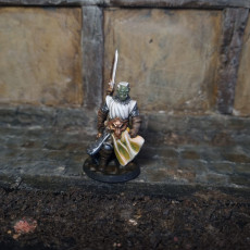 Picture of print of Arbiter Miniatures Kickstarter 3: Heroes of the Realm
