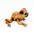 Pug Flexi Toad Frog articulated print-in-place no supports dog image