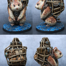 Picture of print of Miniature giant space hamster