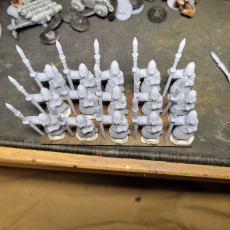 Picture of print of High Elf Spearmen