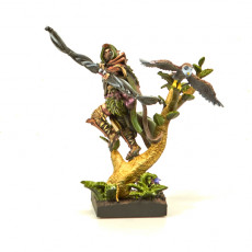 Picture of print of Wood elf Pathfinder lord