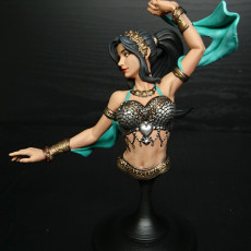 Picture of print of Nutshell Atelier - Belly Dancer Bust