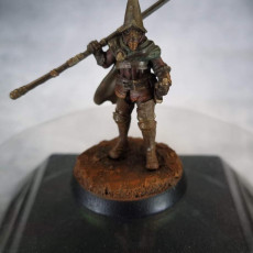 Picture of print of Free Plague Soldier