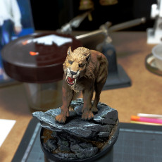 Picture of print of Smilodon Populator roaring 1-35 scale pre-supported