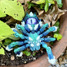Picture of print of Spinner SPYder (Articulated Fidget Spider)