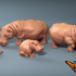 African Animals #1 - Hippos Set image