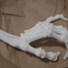 Picture of print of FLEXI PRINT-IN-PLACE SKELETON HAND