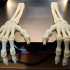 FLEXI PRINT-IN-PLACE SKELETON HAND print image