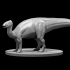 Hadrosaurus image