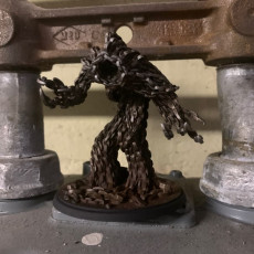 Picture of print of CHAIN GOLEM