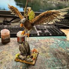 Picture of print of Wood elf lord on eagle king