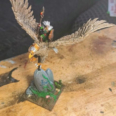 Picture of print of Wood elf lord on eagle king
