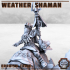 Weather Shaman - Erroish People image