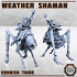 Weather Shaman - Erroish People image