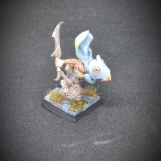Picture of print of Ratfolk Assassin