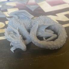 Picture of print of Resting Dragon Beast