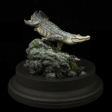 Picture of print of American Alligator - Swim