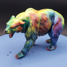 Picture of print of Grizzly Bear