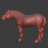 Percheron, draft horse image