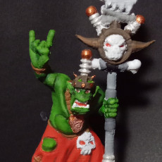 Picture of print of Ork shaman