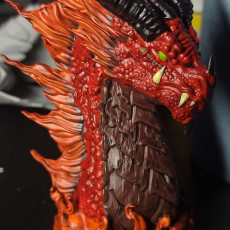 Picture of print of Elder Red Dragon bust (Pre-Supported)