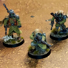 Picture of print of GrimGuard Marksmen