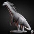 Amargasaurus - Dinosaur image