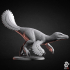 Velociraptor - Dinosaur image