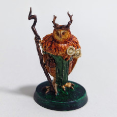 Picture of print of Owlin Druid - Tabletop Miniature (Pre-Supported)