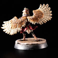 Picture of print of Owlin Swashbuckler - Tabletop Miniature (Pre-Supported)