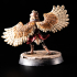 Owlin Swashbuckler - Tabletop Miniature (Pre-Supported) print image