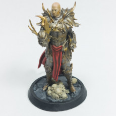 Picture of print of Blood knight General Idle