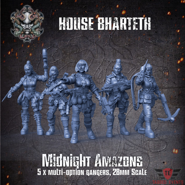 House Bharteth - Midnight Amazon Gang's Cover