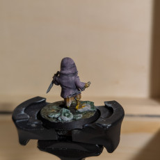 Picture of print of Owlin Rogue - Tabletop Miniature