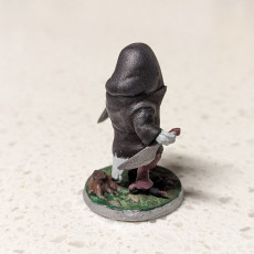 Picture of print of Owlin Rogue - Tabletop Miniature