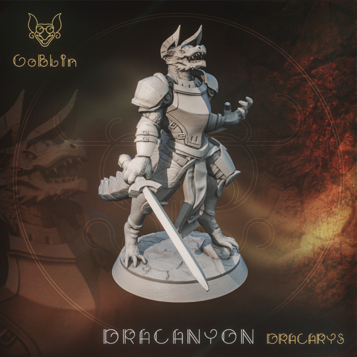 Dracanyon - Dracarys's Cover