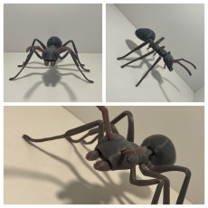 Picture of print of ARTICULATED ANT