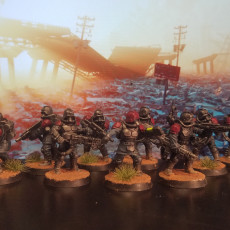 Picture of print of Grimguard Commandos