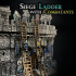 Siege Ladder with Combatants image