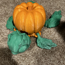Picture of print of PUMPKINURTLE