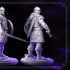 Scout/ Mercenary /Man- at- arms - Caleb - DARK WIZARDS - MASTERS OF DUNGEONS QUEST image