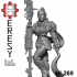 HL269 - Heresylab - SciFi Female PinUp Custodes of the Empire image