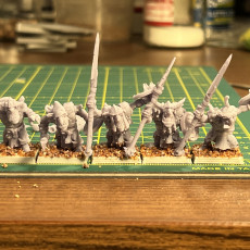 Picture of print of Goblin Warriors multi-part regiment
