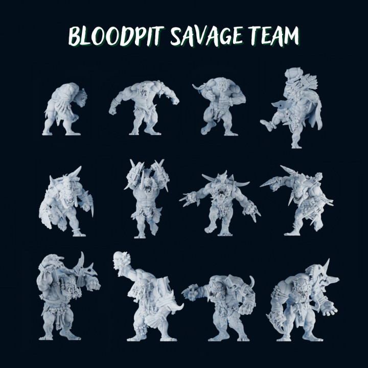 Bloodpit Savage team's Cover